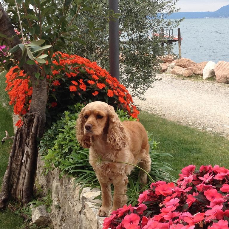 Locanda Fassa Brenzone sul Garda Exterior foto
